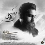 دانلود آهنگ علی زندوکیلی بی تابانه دانلود آهنگ علی زندوکیلی بی تابانه