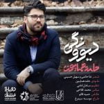 دانلود آهنگ حامد همایون دیوونگی