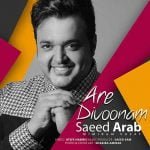 دانلود آهنگ جدید سعید عرب آره دیوونم