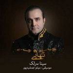 دانلود آهنگ جدید سینا سرلک تنهایی دانلود آهنگ جدید سینا سرلک تنهایی
