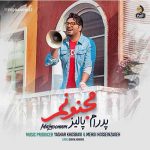 دانلود آهنگ پدرام پالیز مجنونم دانلود آهنگ پدرام پالیز مجنونم