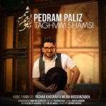 دانلود آهنگ پدرام پالیز تقویم شمسی دانلود آهنگ پدرام پالیز تقویم شمسی