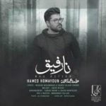 دانلود آهنگ حامد همایون نارفیق دانلود آهنگ حامد همایون نارفیق
