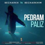 دانلود آهنگ پدرام پالیز بچرخ تا بچرخیم دانلود آهنگ پدرام پالیز بچرخ تا بچرخیم