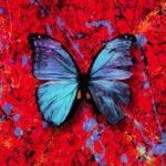 دانلود آهنگ Ed Sheeran به نام Visiting Hours