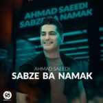 دانلود آهنگ احمد سعیدی سبزه با نمک