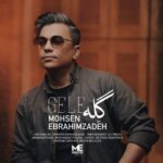 دانلود آهنگ جدید محسن ابراهیم زاده گله