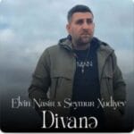 دانلود آهنگ الوین نصیر دیوانه | Elvin Nasir – Divanə دانلود آهنگ الوین نصیر دیوانه | Elvin Nasir – Divanə
