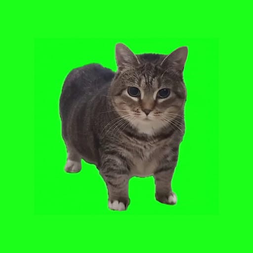 دانلود آهنگ فانک W&W – OIIA OIIA (Spinning Cat) | آهنگ رقص EDM ویروسی دانلود آهنگ فانک W&W – OIIA OIIA (Spinning Cat) | آهنگ رقص EDM ویروسی