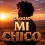 دانلود آهنگ Mi Chico ( می چیکو ) از Dj Goja