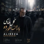 دانلود آهنگ علیرضا قربانی گل های باران خورده دانلود آهنگ علیرضا قربانی گل های باران خورده