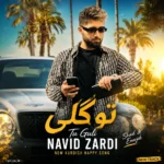 دانلود آهنگ نوید زردی تو گلی دانلود آهنگ نوید زردی تو گلی